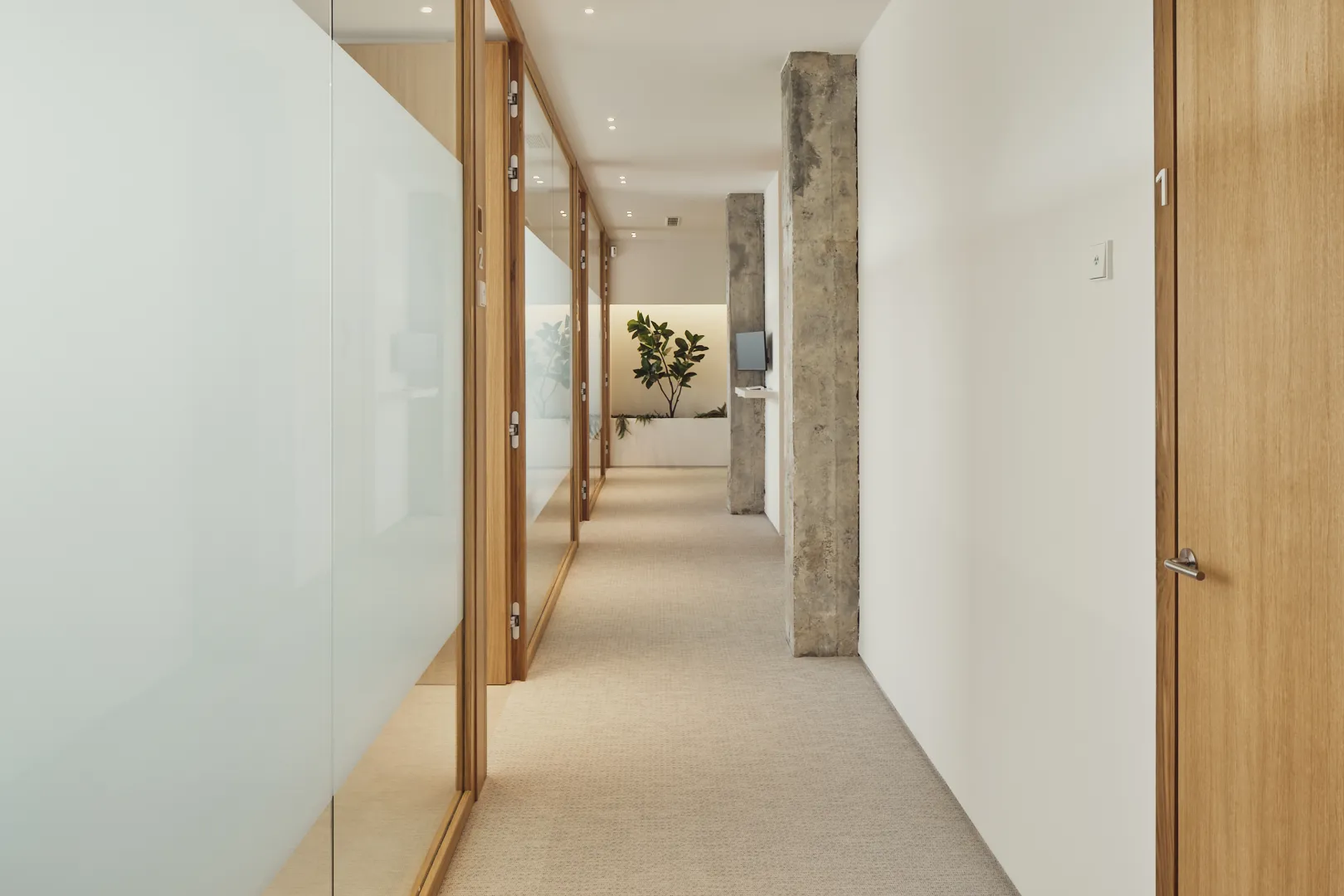 Pasillo de la clínica con paredes de cristal y madera